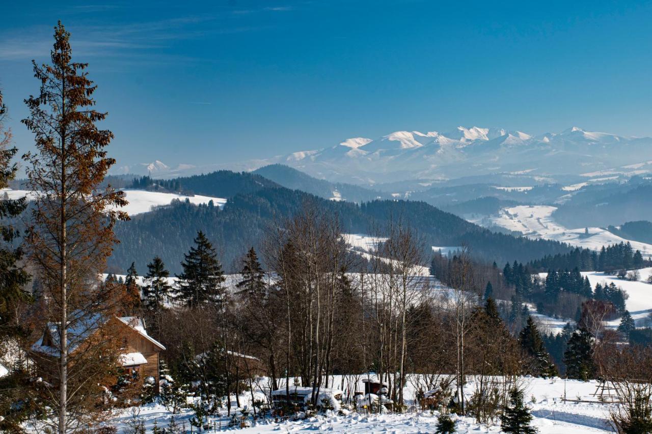 Apartman Jesienka, Hillside Dolny Kubin Exteriör bild